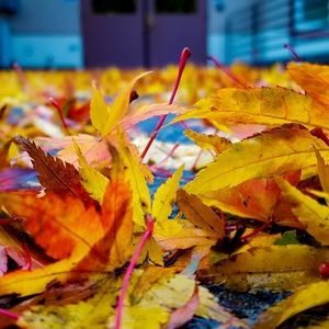 Meet your Posher, Reality